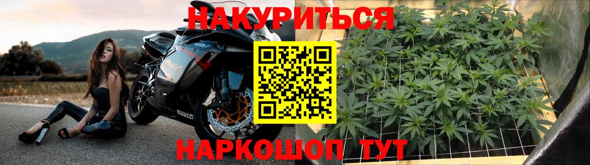 МАРИХУАНА сатива Джанкой